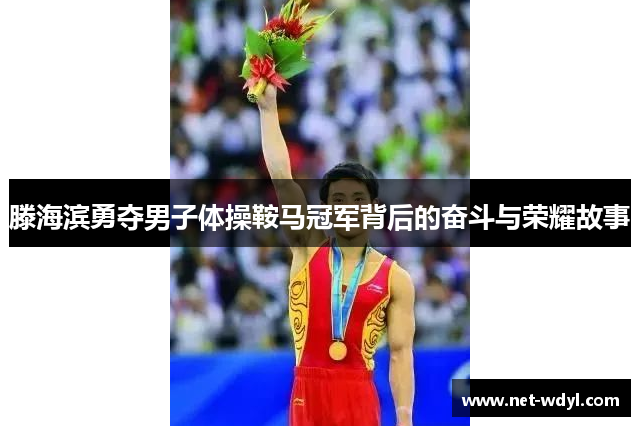 滕海滨勇夺男子体操鞍马冠军背后的奋斗与荣耀故事