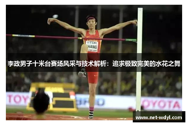 李政男子十米台赛场风采与技术解析：追求极致完美的水花之舞