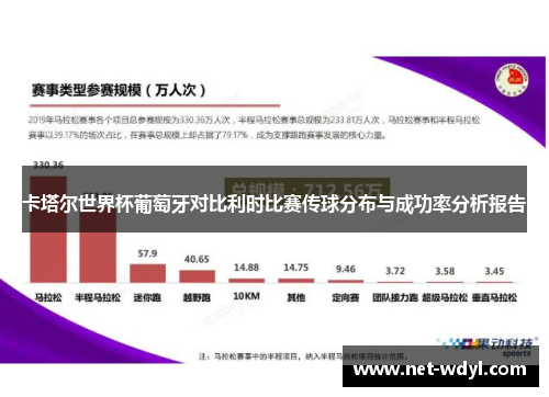 卡塔尔世界杯葡萄牙对比利时比赛传球分布与成功率分析报告