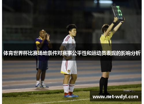 体育世界杯比赛场地条件对赛事公平性和运动员表现的影响分析