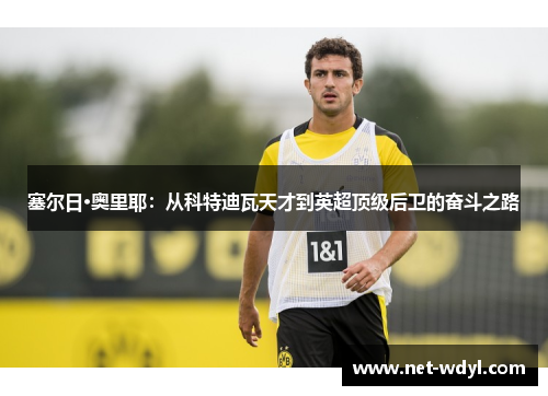 塞尔日·奥里耶：从科特迪瓦天才到英超顶级后卫的奋斗之路