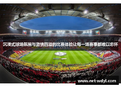 沉浸式球场氛围与激情四溢的比赛体验让每一场赛事都难以忘怀