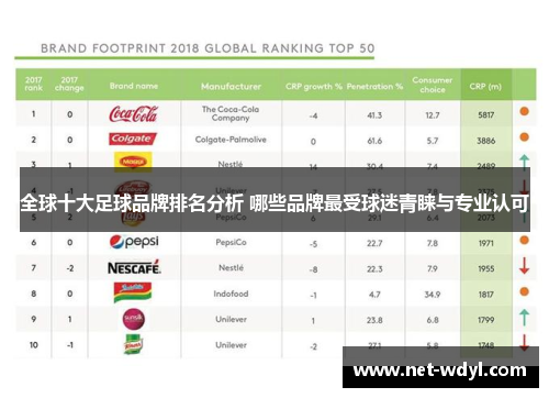 全球十大足球品牌排名分析 哪些品牌最受球迷青睐与专业认可