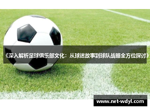 《深入解析足球俱乐部文化：从球迷故事到球队战略全方位探讨》