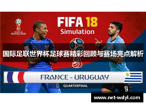 国际足联世界杯足球赛精彩回顾与赛场亮点解析