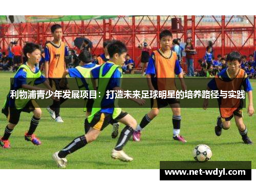 利物浦青少年发展项目：打造未来足球明星的培养路径与实践