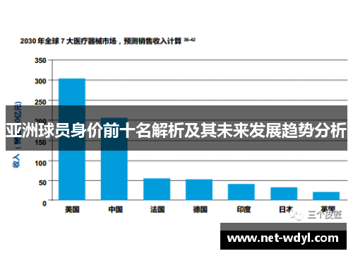 亚洲球员身价前十名解析及其未来发展趋势分析
