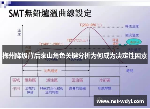 梅州降级背后泰山角色关键分析为何成为决定性因素