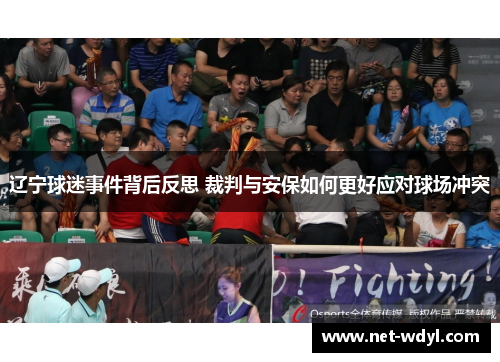 辽宁球迷事件背后反思 裁判与安保如何更好应对球场冲突