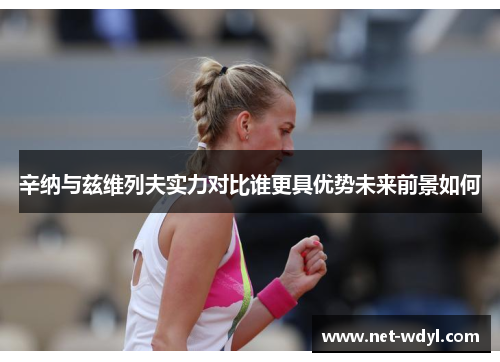 辛纳与兹维列夫实力对比谁更具优势未来前景如何