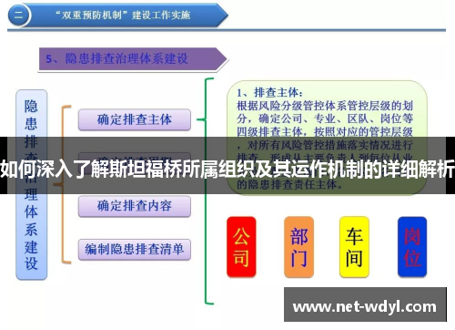 如何深入了解斯坦福桥所属组织及其运作机制的详细解析