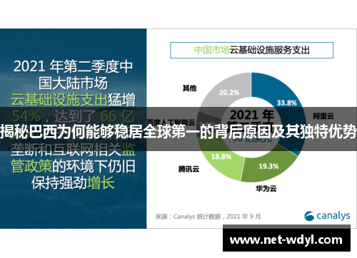 揭秘巴西为何能够稳居全球第一的背后原因及其独特优势