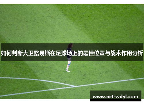 如何判断大卫路易斯在足球场上的最佳位置与战术作用分析 如何判断大卫路易斯在足球场上的最佳位置与战术作用分析