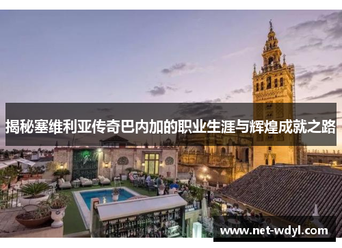 揭秘塞维利亚传奇巴内加的职业生涯与辉煌成就之路